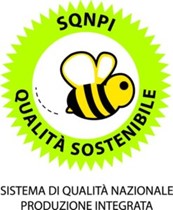 Stiamo assumendo