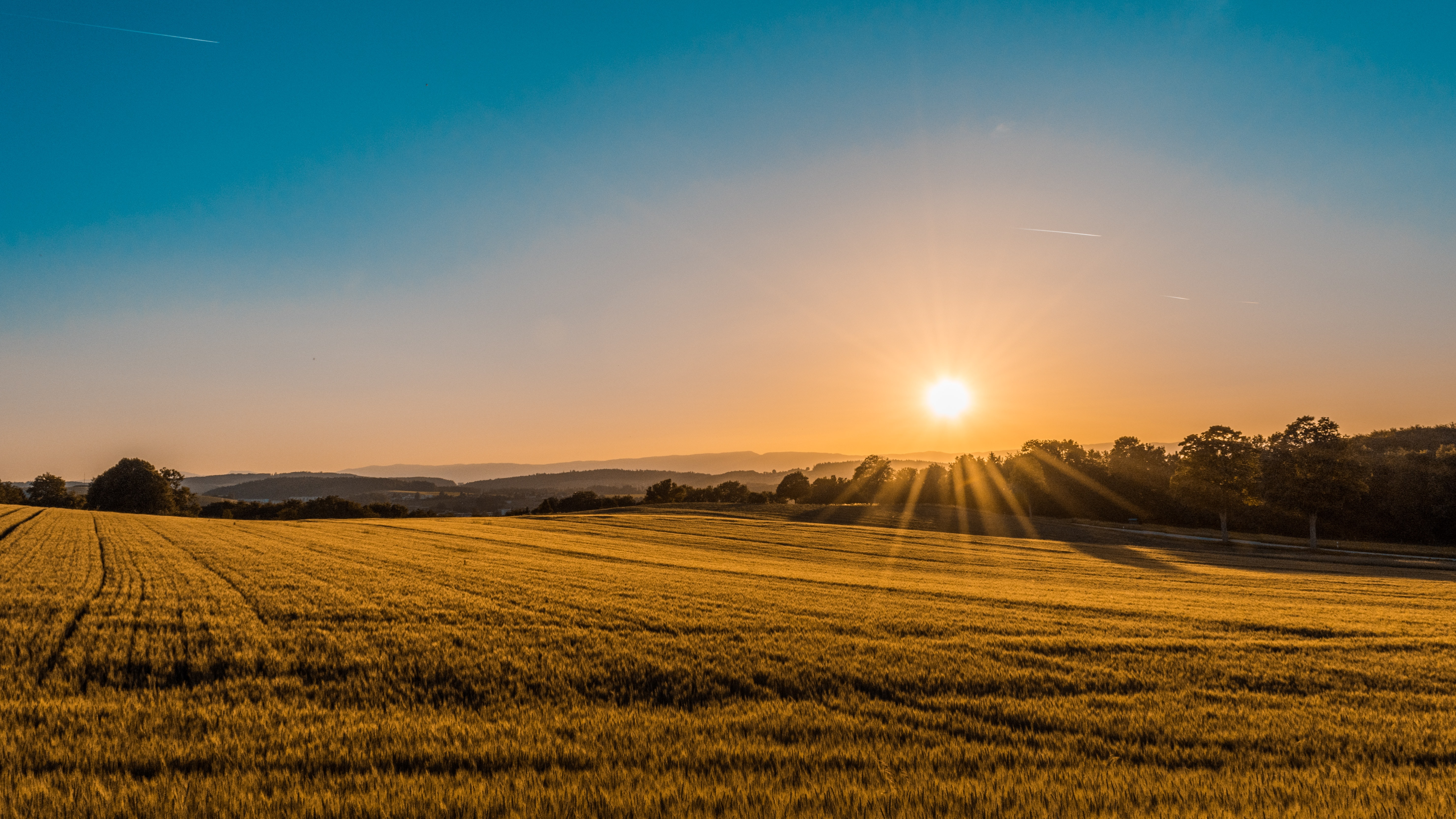 Sole che sorge su un capo di grano