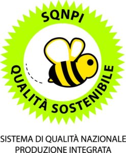Corso di formazione per tecnico controllore nei Sistemi di Qualità Nazionale produzione integrata